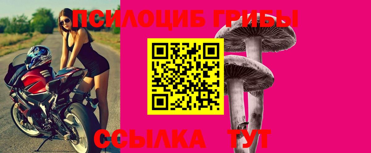 Псилоцибиновые грибы MAGIC MUSHROOMS  Вход с VPN  Красный Сулин  Псилоцибиновые грибы Magic Shrooms 